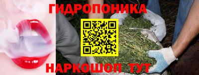 apvp Жуковский