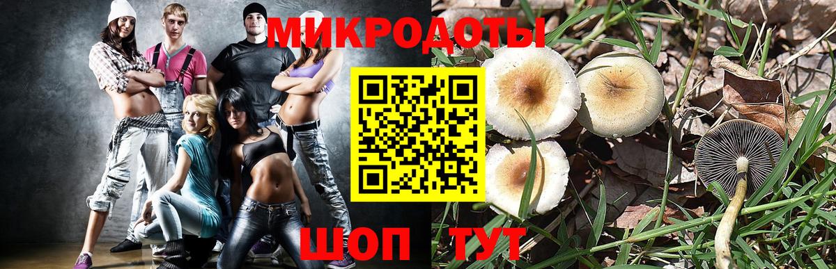 Лабытнанги  Псилоцибиновые грибы Psilocybine cubensis  Вход с VPN 
