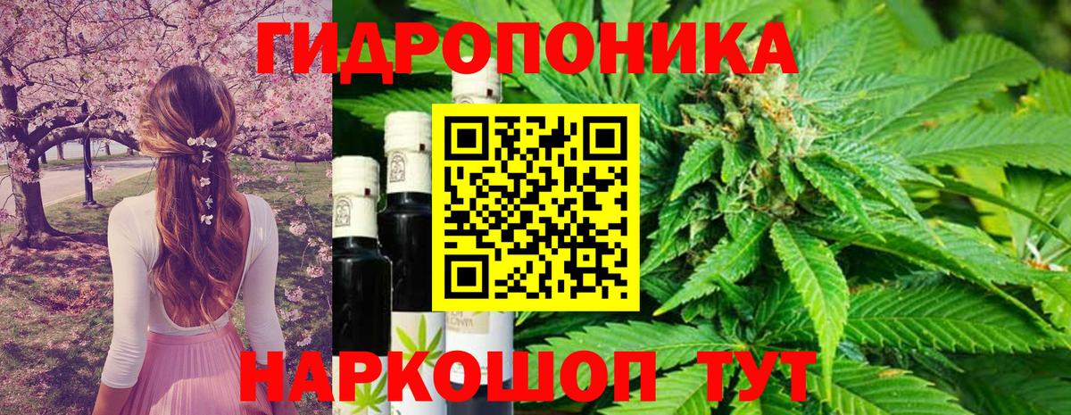 Марихуана Bruce Banner Лабытнанги